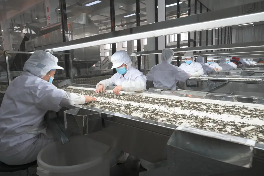 doccia aria per sala pulita, produttori di docce ad aria, prezzo doccia aria, sala doccia aria, design della doccia aria, fornitore di doccia aria, sistemi di doccia ad aria,